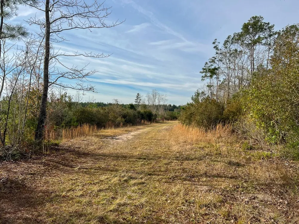 9 Fm 787 Saratoga, TX 77585