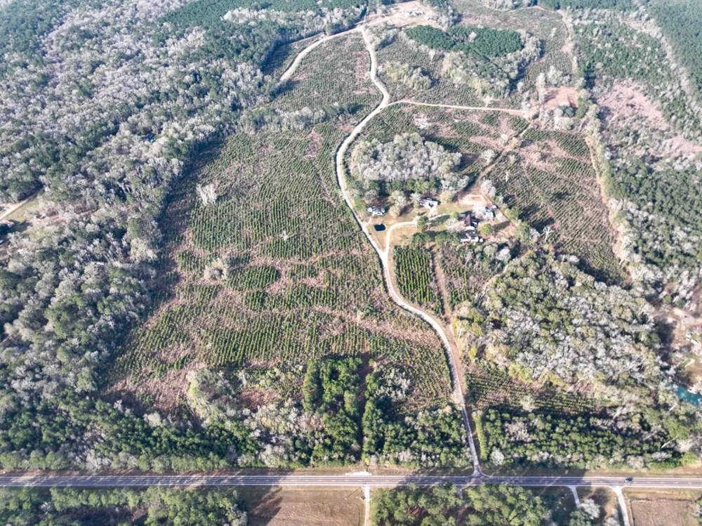 9 Fm 787 Saratoga, TX 77585