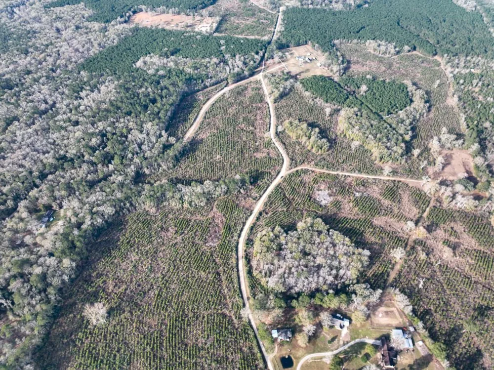 9 Fm 787 Saratoga, TX 77585