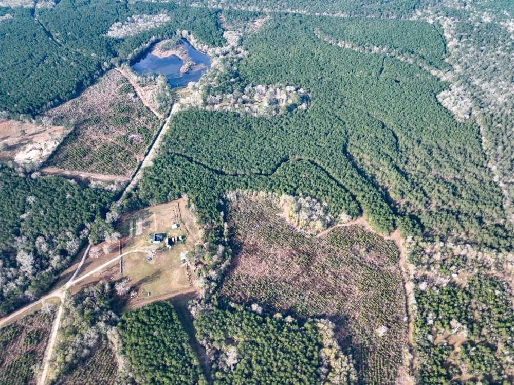 9 Fm 787 Saratoga, TX 77585