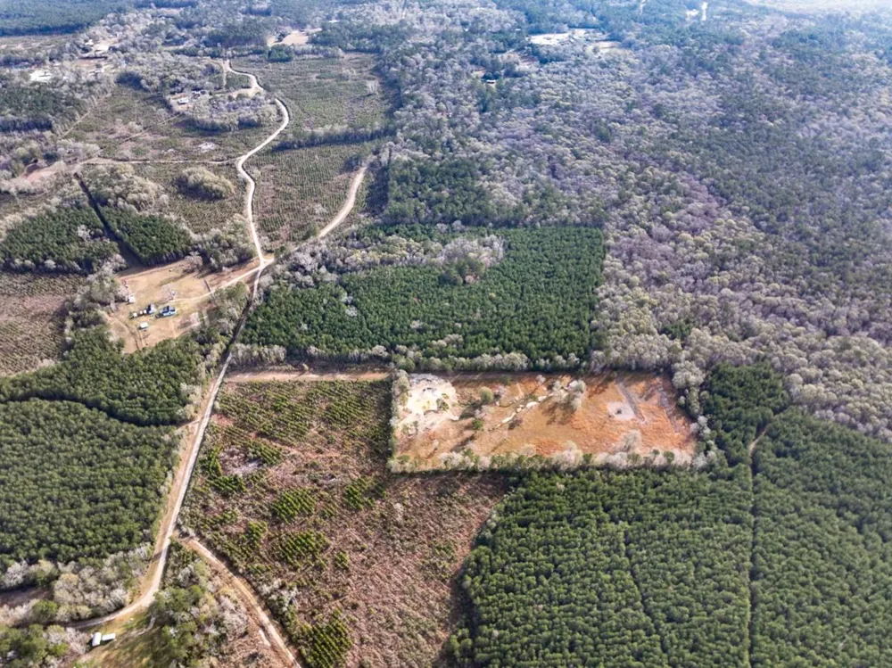 9 Fm 787 Saratoga, TX 77585