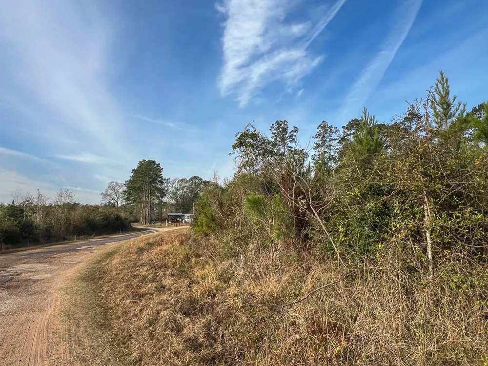 9 Fm 787 Saratoga, TX 77585