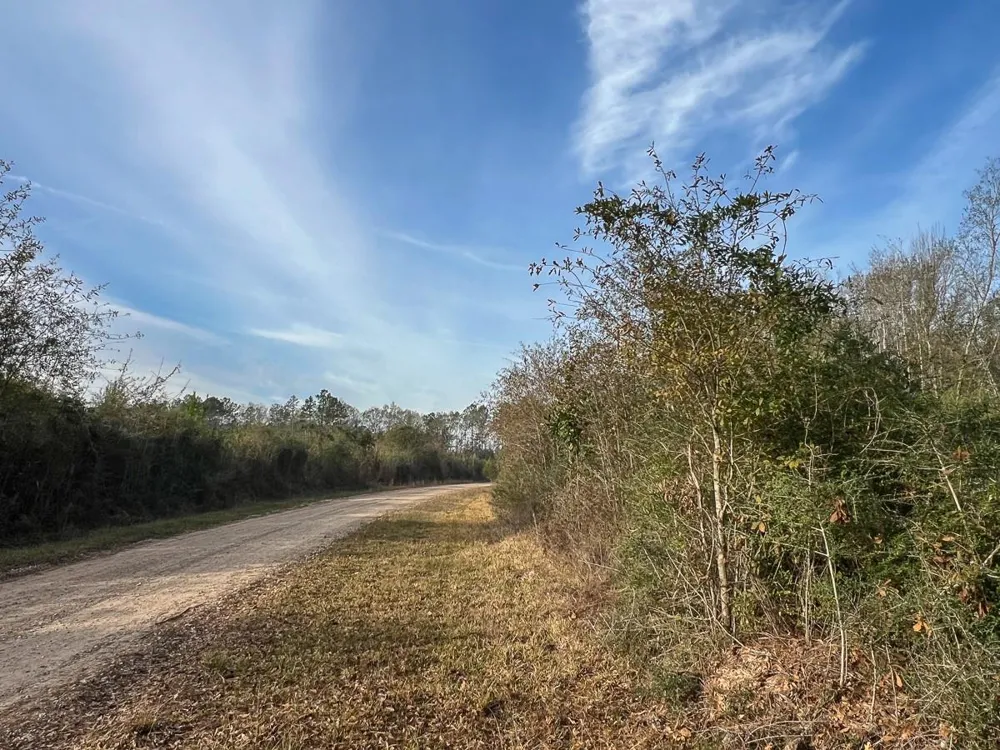 9 Fm 787 Saratoga, TX 77585