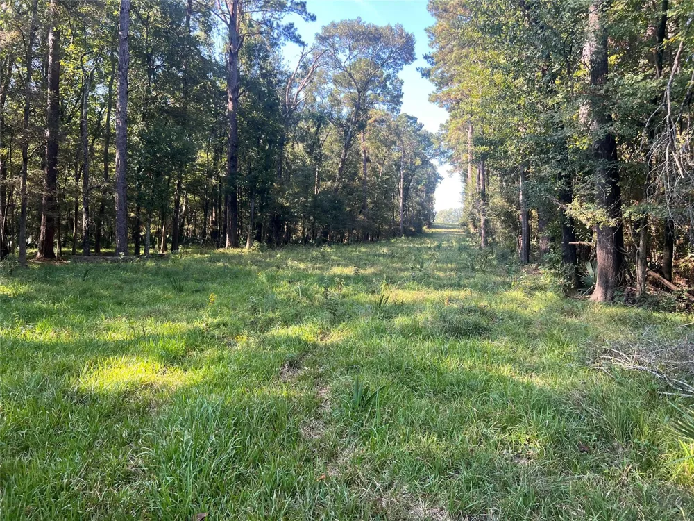 Hardy Bottom Road Huntsville, TX 77340