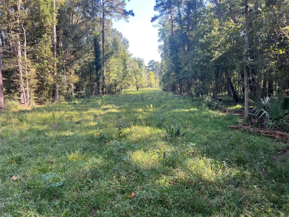 Hardy Bottom Road Huntsville, TX 77340