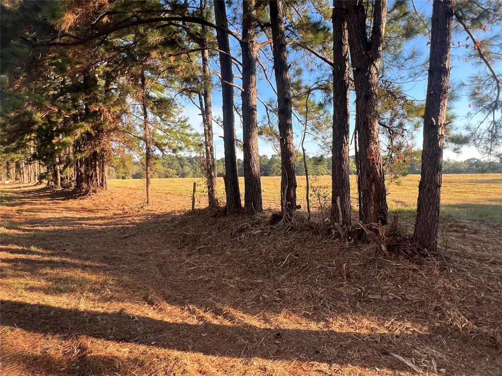 Hardy Bottom Road Huntsville, TX 77340