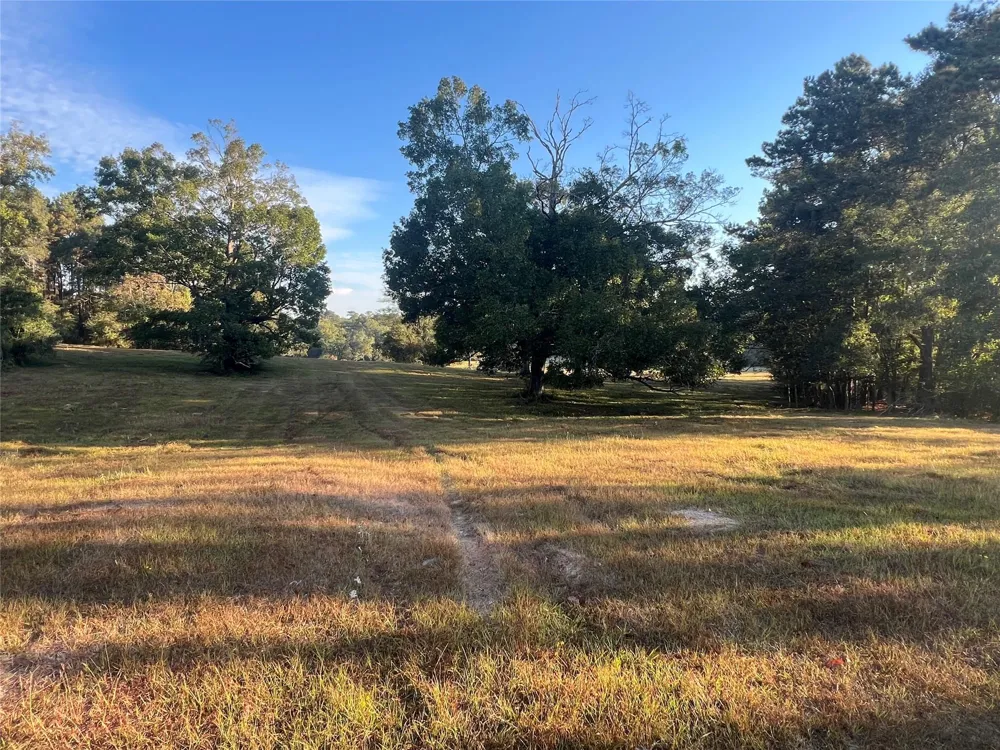 Hardy Bottom Road Huntsville, TX 77340