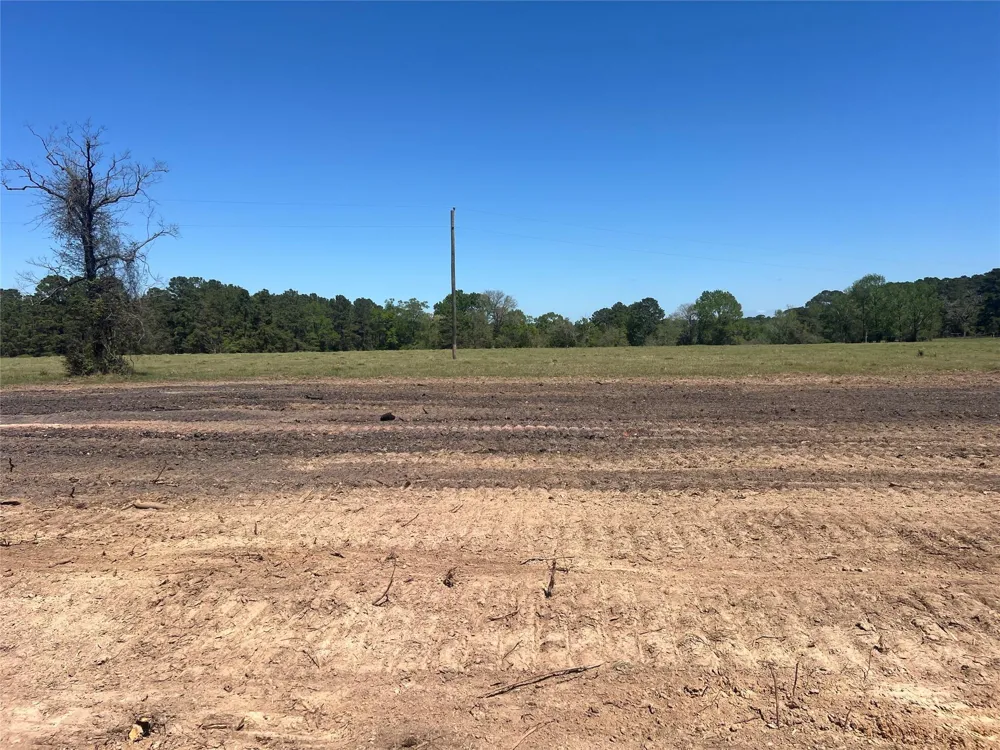 Hardy Bottom Road Huntsville, TX 77340