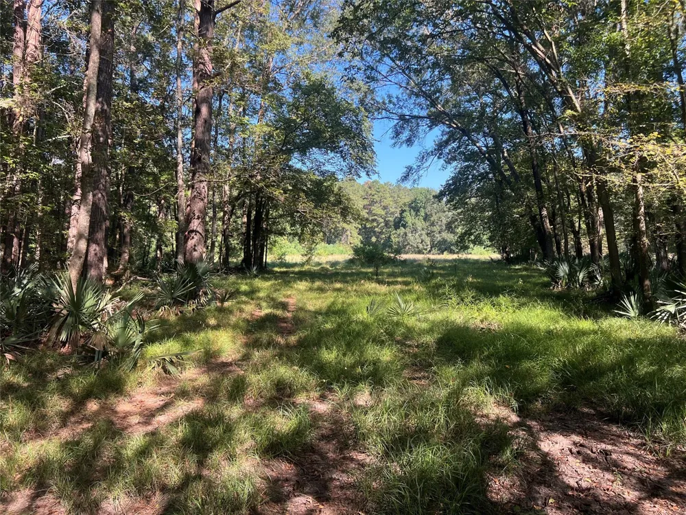 Hardy Bottom Road Huntsville, TX 77340