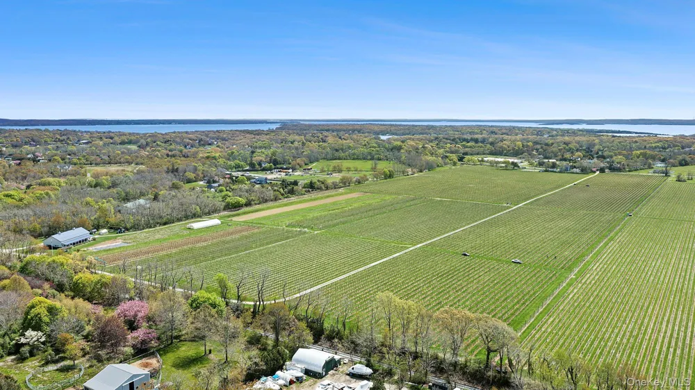 46975 Main Road Southold, NY 11971