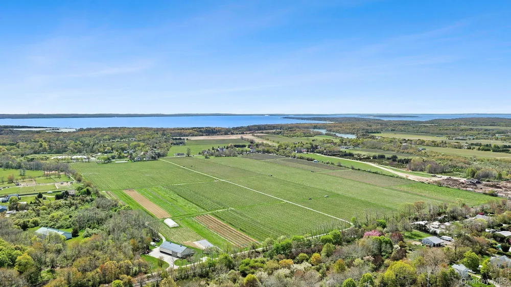 46975 Main Road Southold, NY 11971