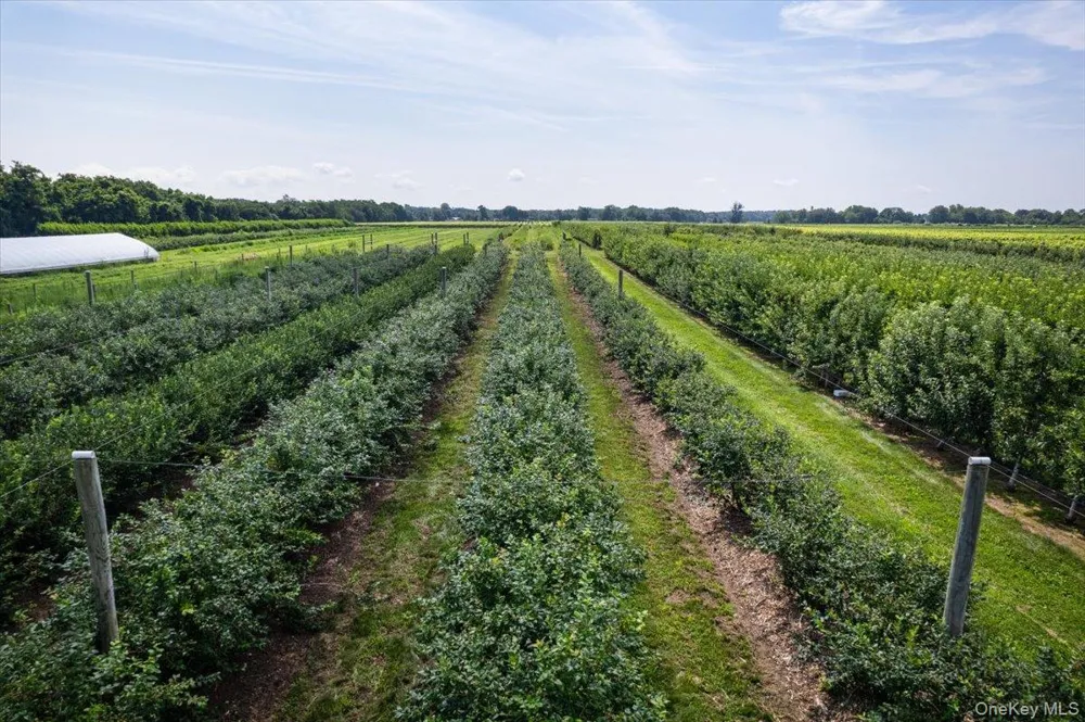 46975 Main Road Southold, NY 11971
