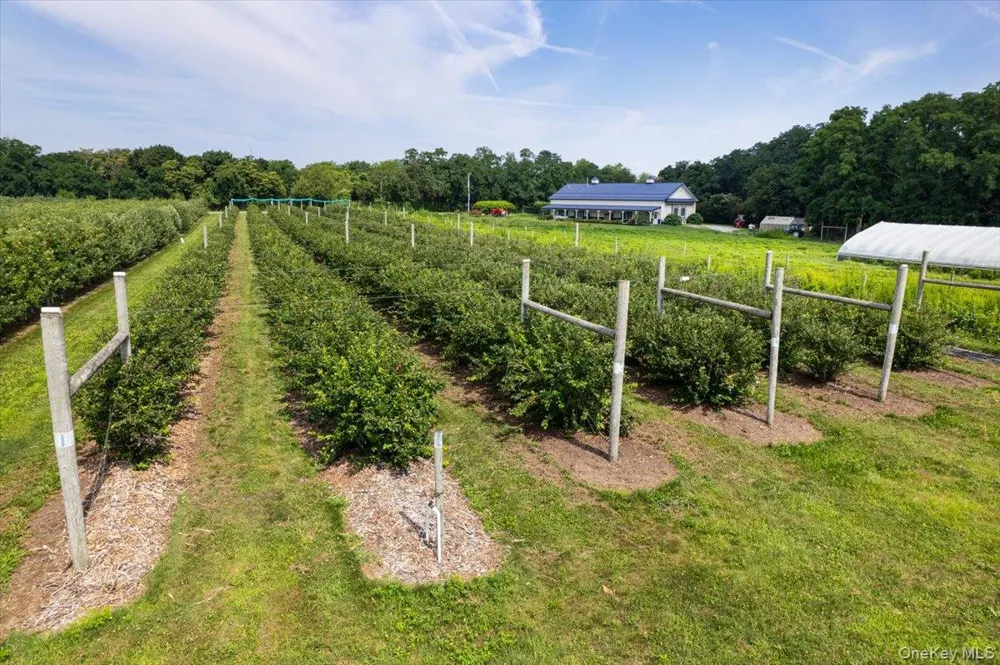 46975 Main Road Southold, NY 11971