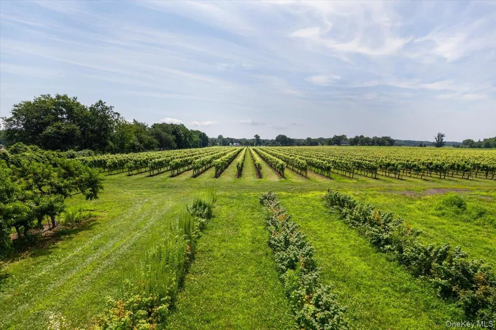46975 Main Road Southold, NY 11971