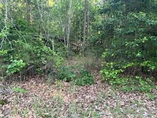 125 Mockingbird Lane Hollister, NC 27844