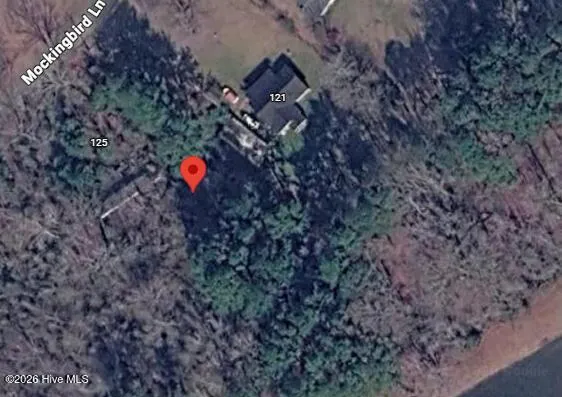 125 Mockingbird Lane Hollister, NC 27844