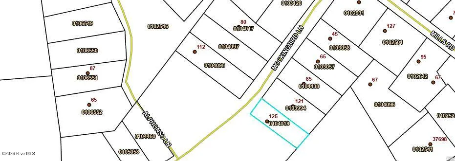 125 Mockingbird Lane Hollister, NC 27844