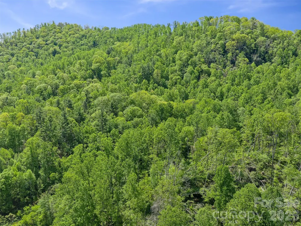 615 Fred Sparks Road Bakersville, NC 28705
