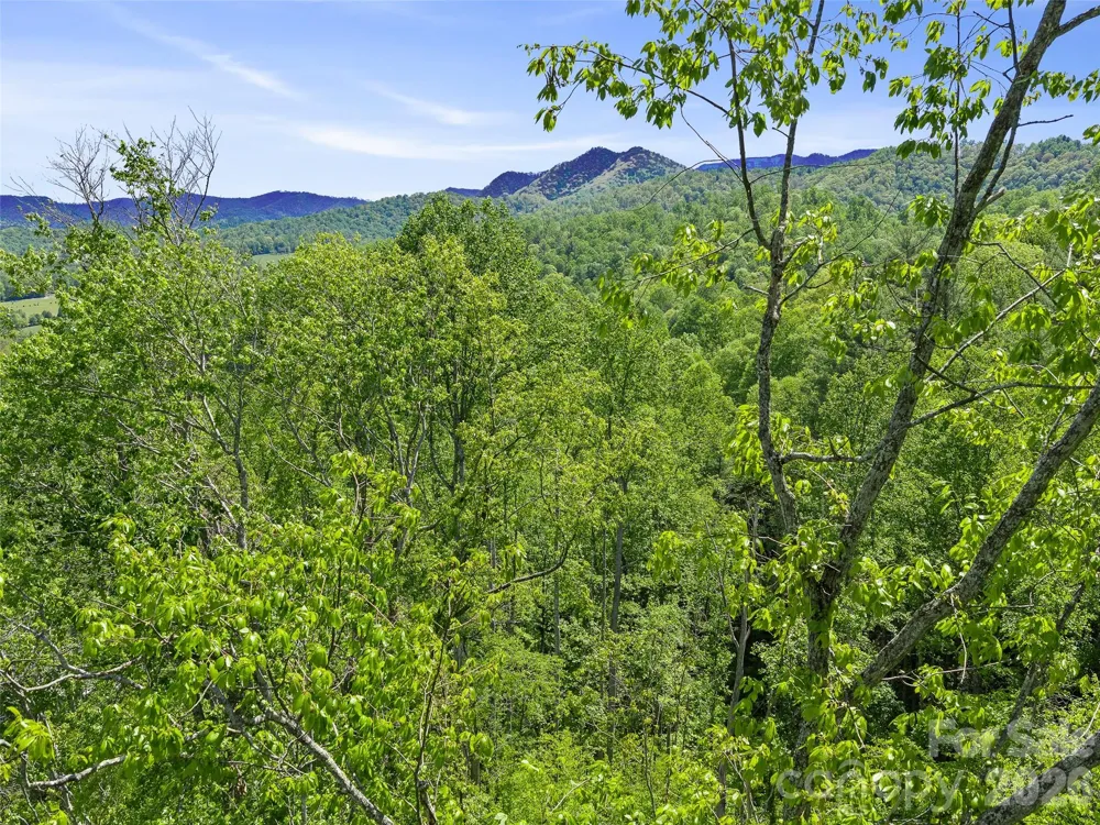 615 Fred Sparks Road Bakersville, NC 28705