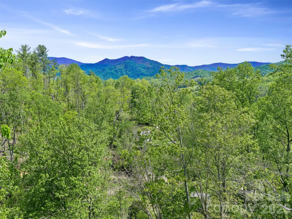 615 Fred Sparks Road Bakersville, NC 28705