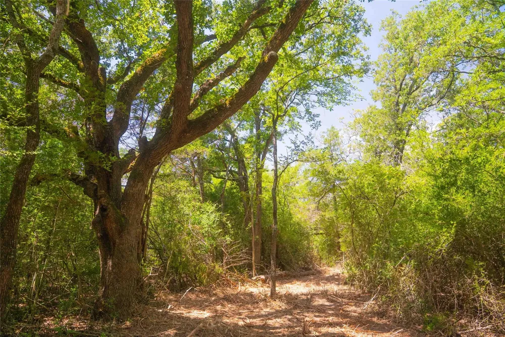 5131 N State Hwy 6 Hearne, TX 77859