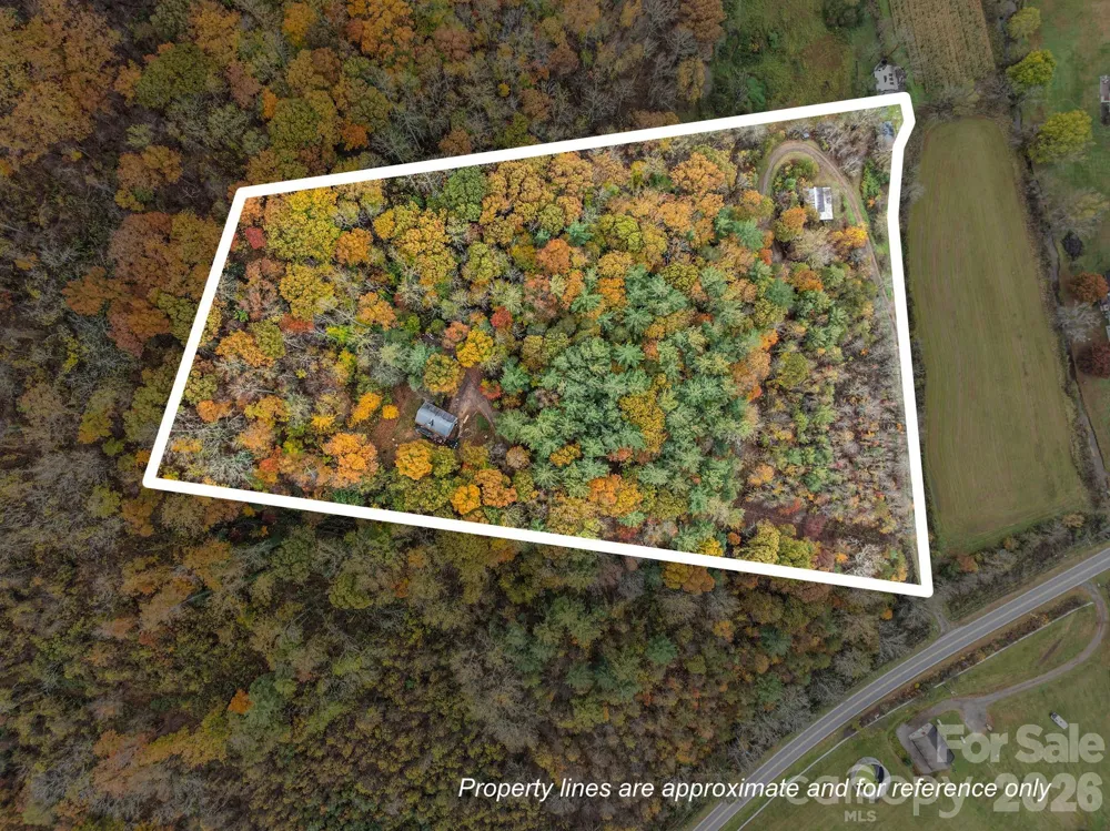 3114 New Leicester Highway Leicester, NC 28748