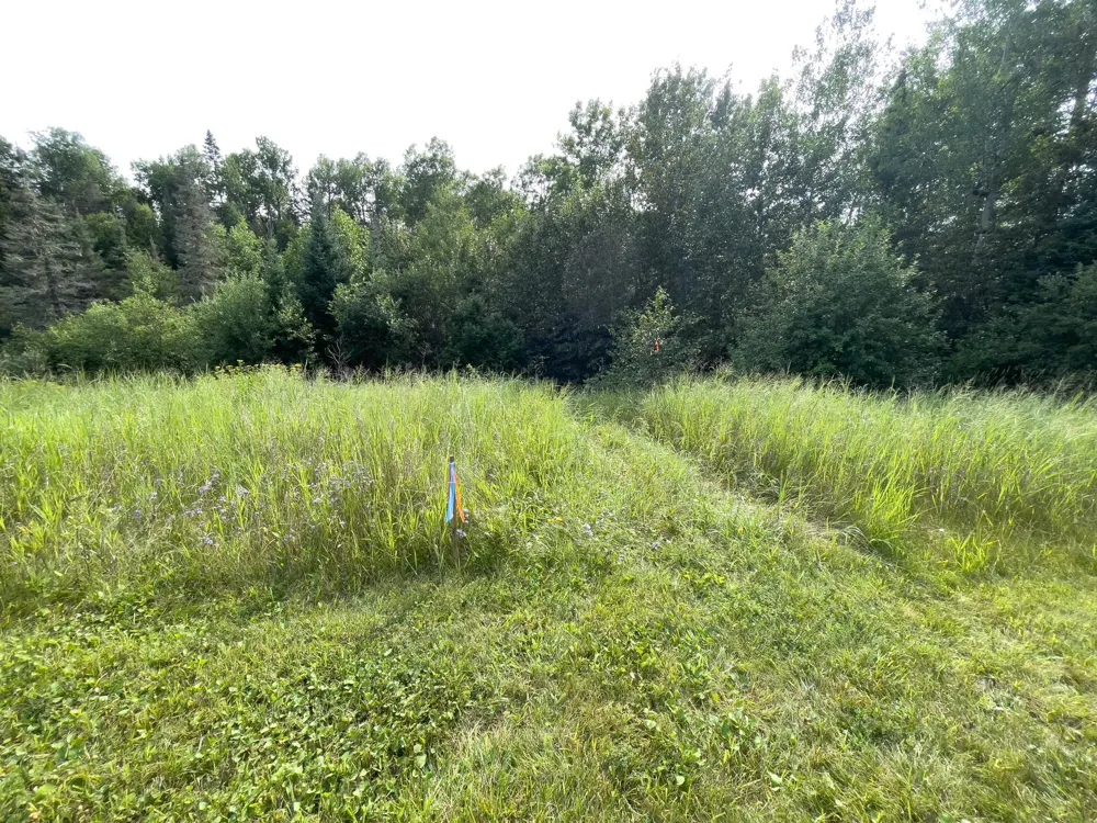 7143 Highway 1 Finland, MN 55603
