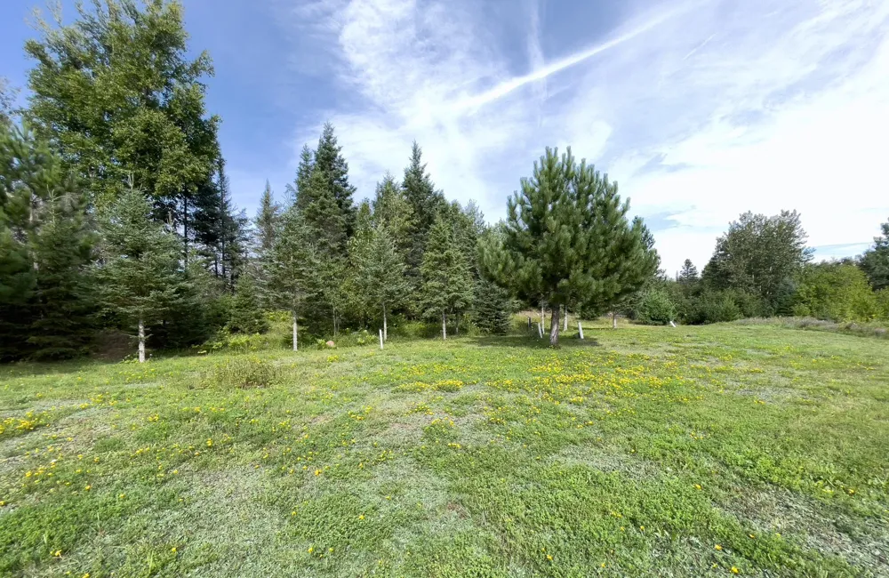 7143 Highway 1 Finland, MN 55603