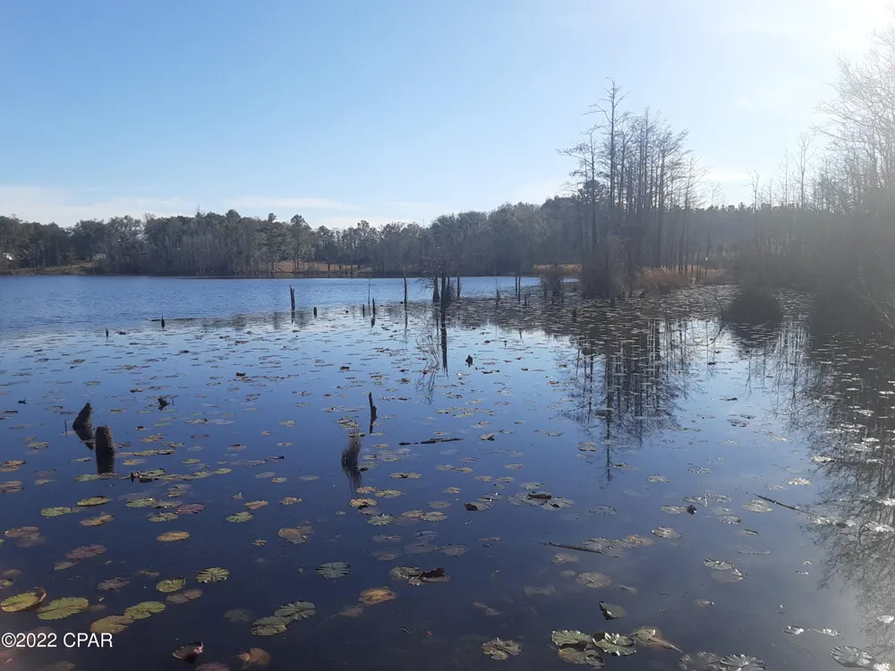 3356 FL-79 Bonifay, FL 32425