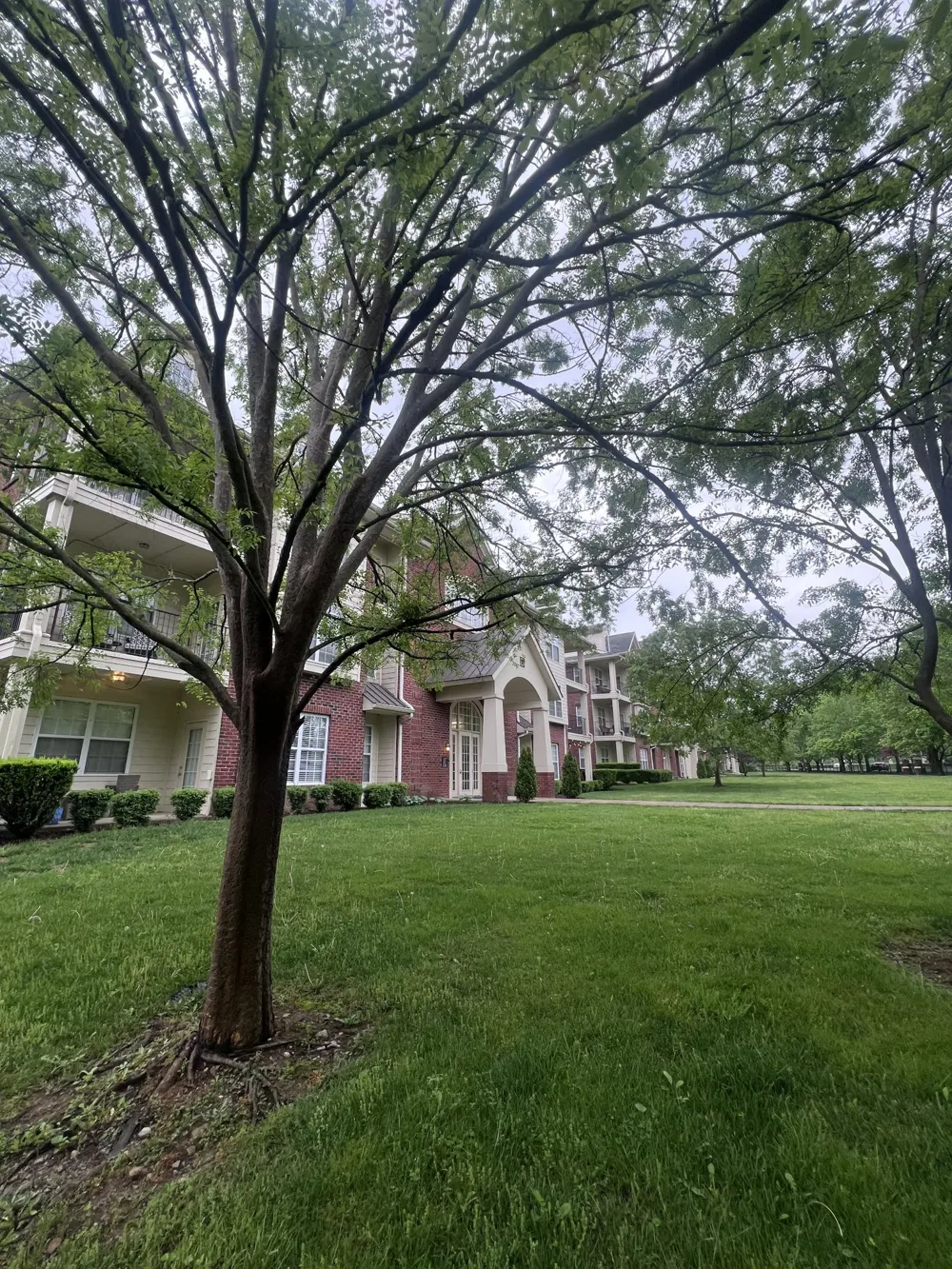 3201 Aspen Grove Dr #D3 Franklin, TN 37067