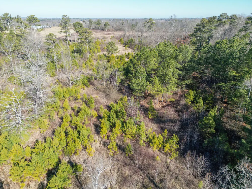 40 County Road 322 Henagar, AL 35978