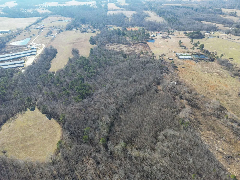 40 County Road 322 Henagar, AL 35978