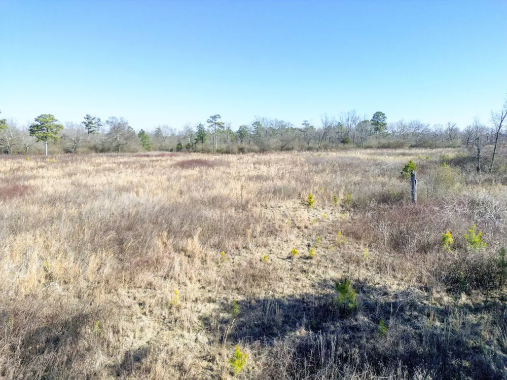 40 County Road 322 Henagar, AL 35978
