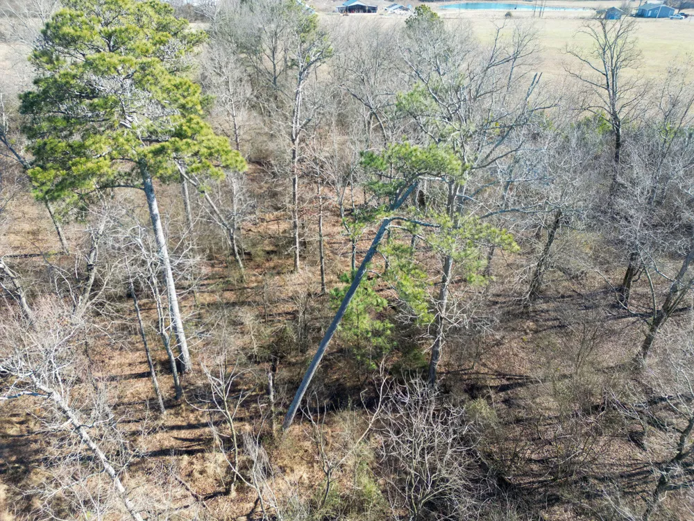 40 County Road 322 Henagar, AL 35978
