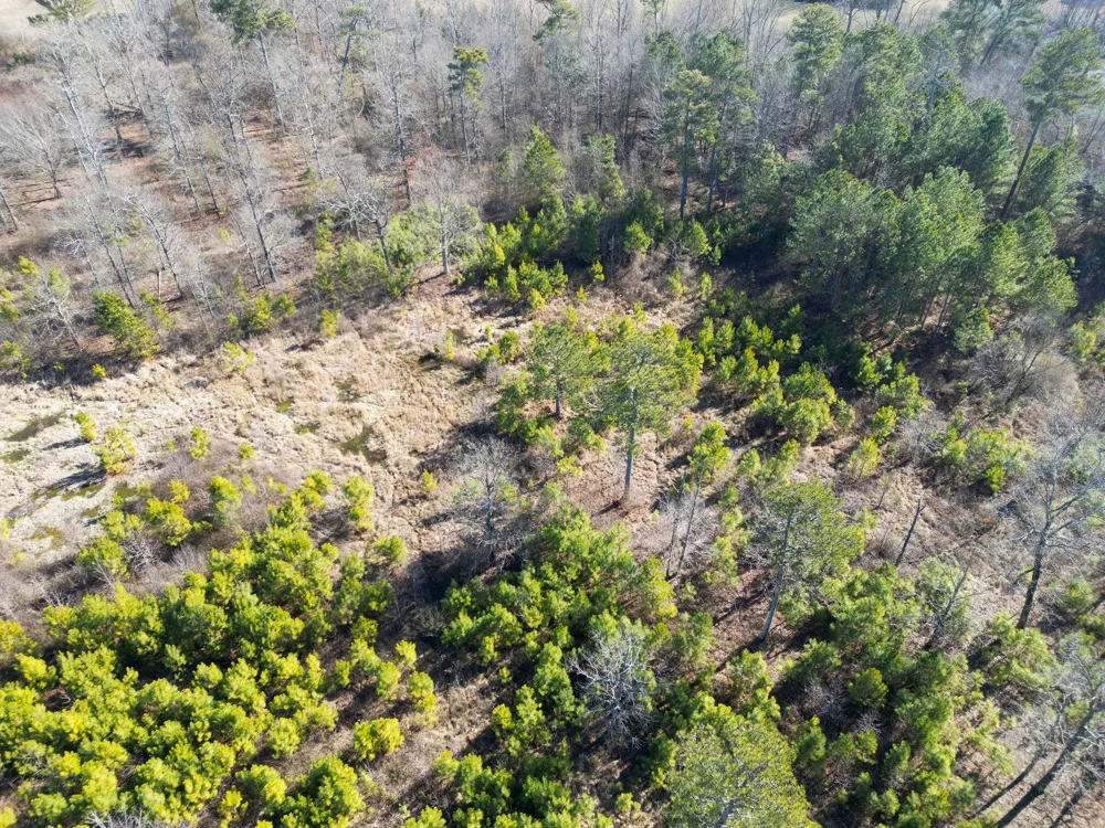 40 County Road 322 Henagar, AL 35978