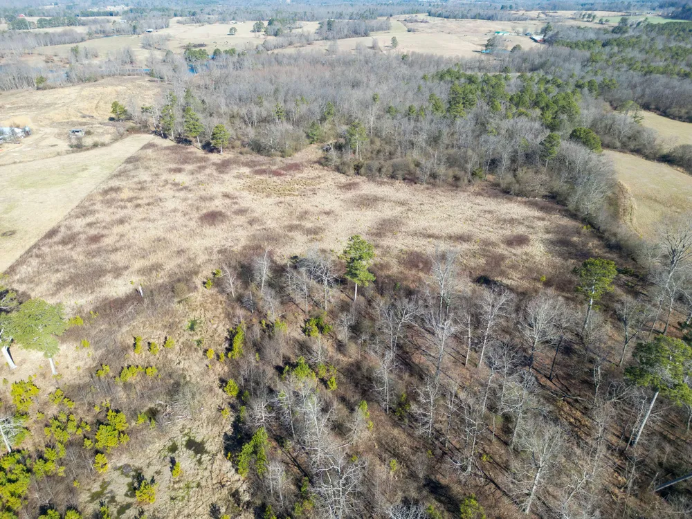 40 County Road 322 Henagar, AL 35978
