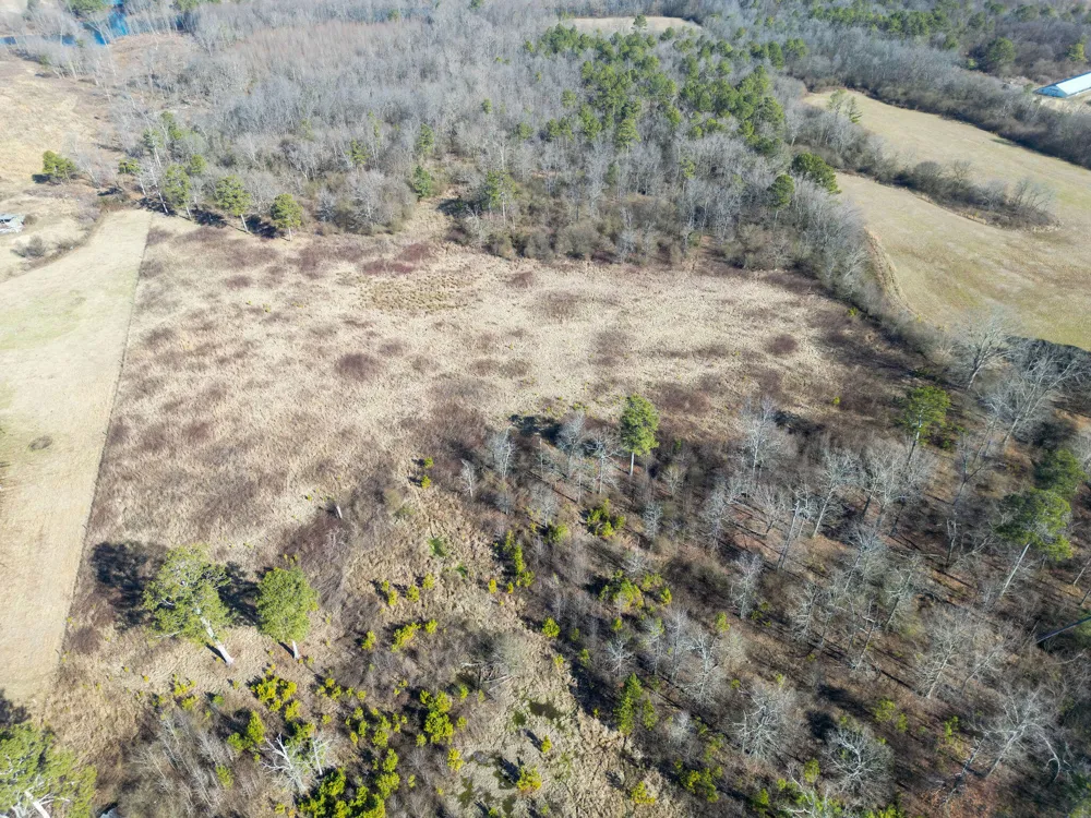 40 County Road 322 Henagar, AL 35978