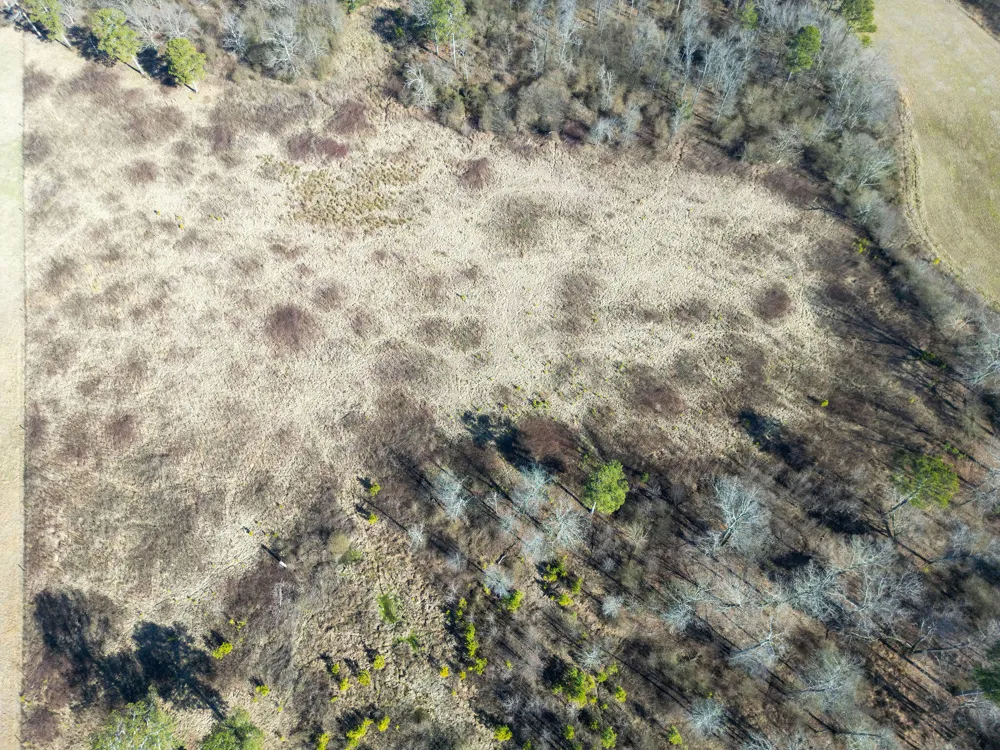 40 County Road 322 Henagar, AL 35978