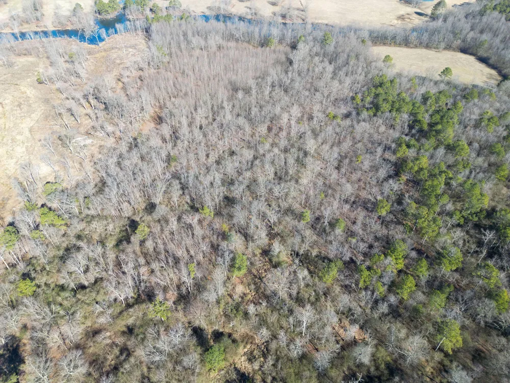 40 County Road 322 Henagar, AL 35978