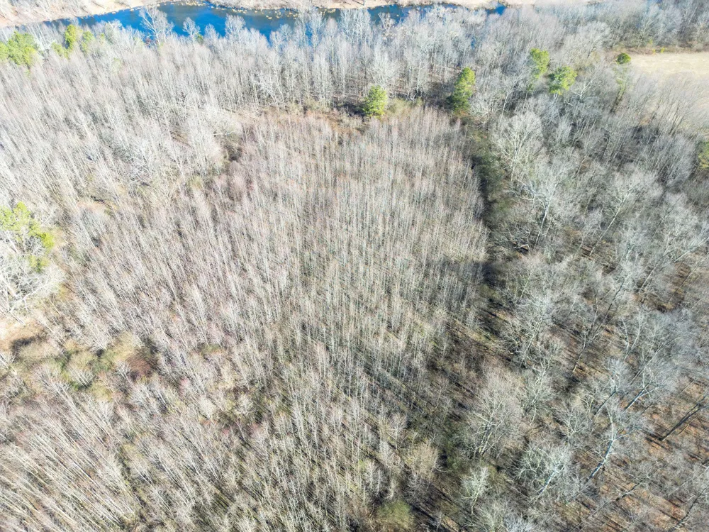 40 County Road 322 Henagar, AL 35978