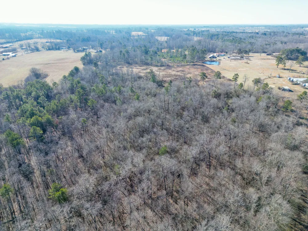 40 County Road 322 Henagar, AL 35978