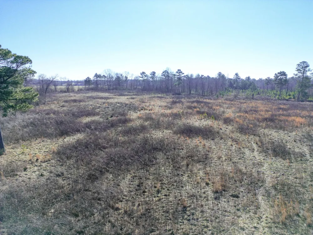 40 County Road 322 Henagar, AL 35978