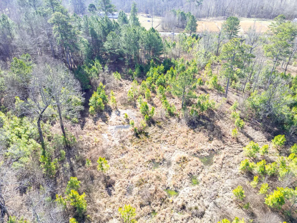 40 County Road 322 Henagar, AL 35978