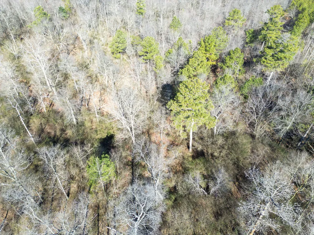 40 County Road 322 Henagar, AL 35978
