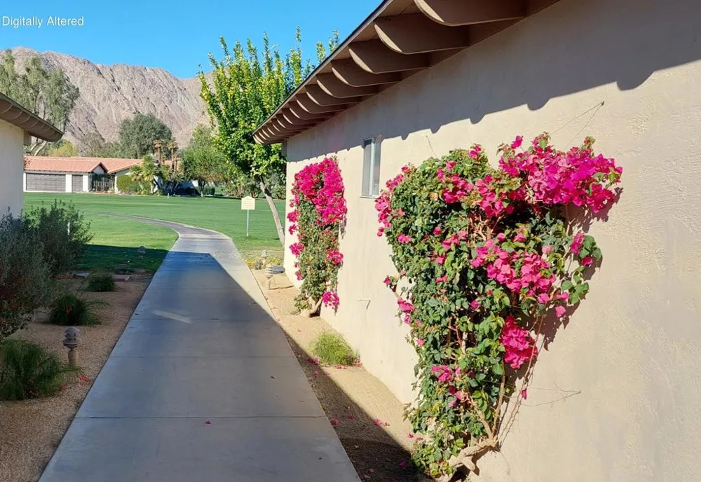 49091 Washington Street La Quinta, CA 92253