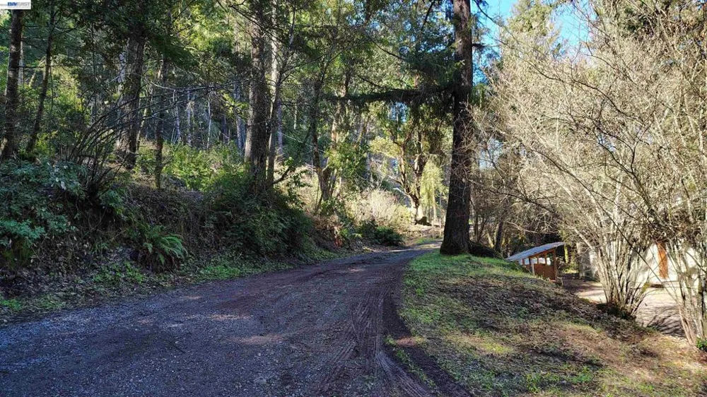 28440 Ryan Creek Road Willits, CA 95490