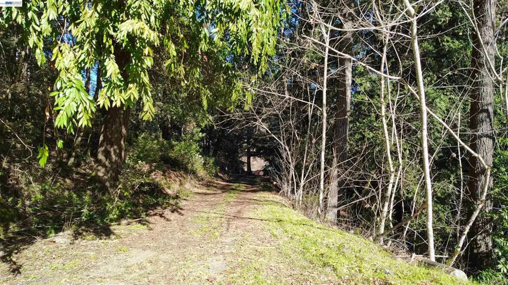 28440 Ryan Creek Road Willits, CA 95490