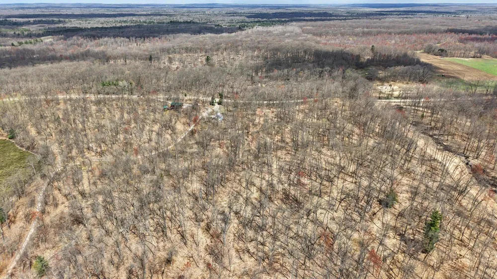 94 W Roosevelt Road Lilley Township, MI 49309
