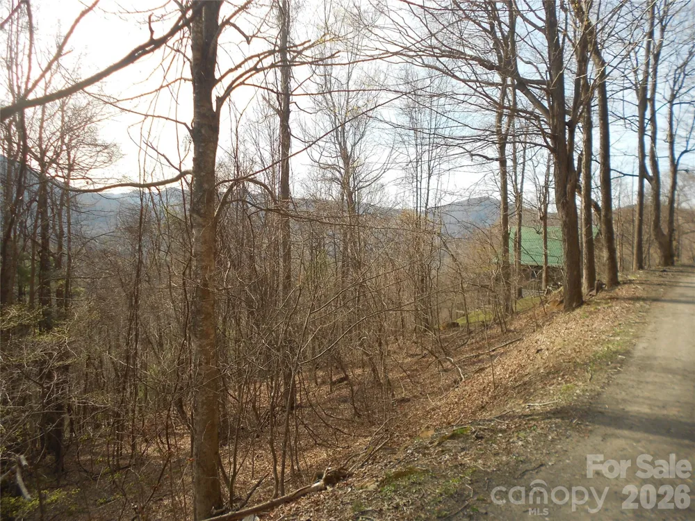 0000 Abbie Trail West Jefferson, NC 28694