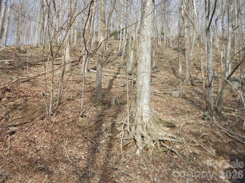 0000 Abbie Trail West Jefferson, NC 28694